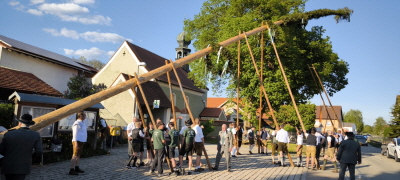 2025-04-Maib