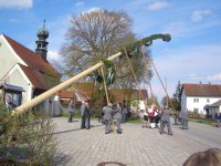 maibaum_klein
